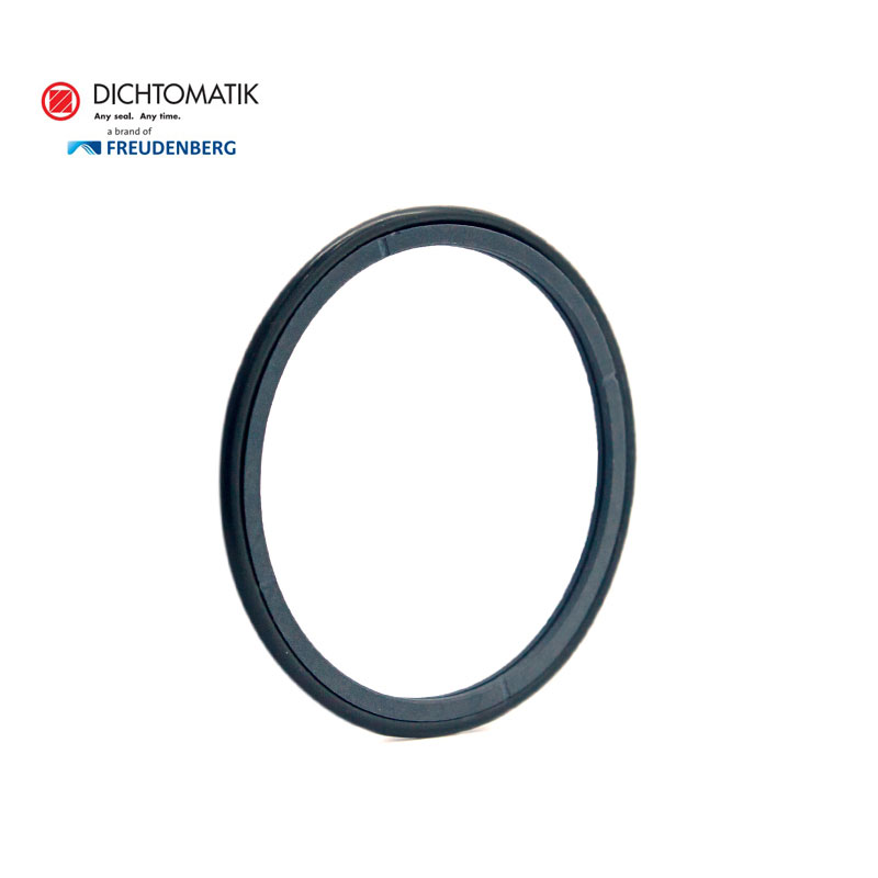 Dichtomatik密封 德氏封挡圈(DST)